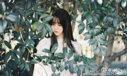 你是我最好的遇见作文